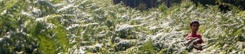 april to july 2009 455Cropii.jpg